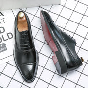 FEDERICO™ | OXFORD BROGUE ROYAL