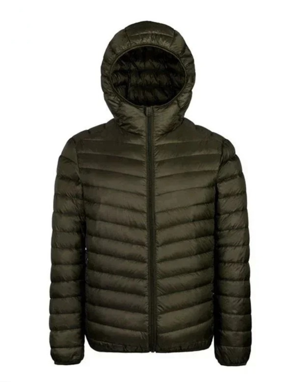FEDERICO™ | Giacca piumino uomo in piumino d'anatra – taglio affusolato